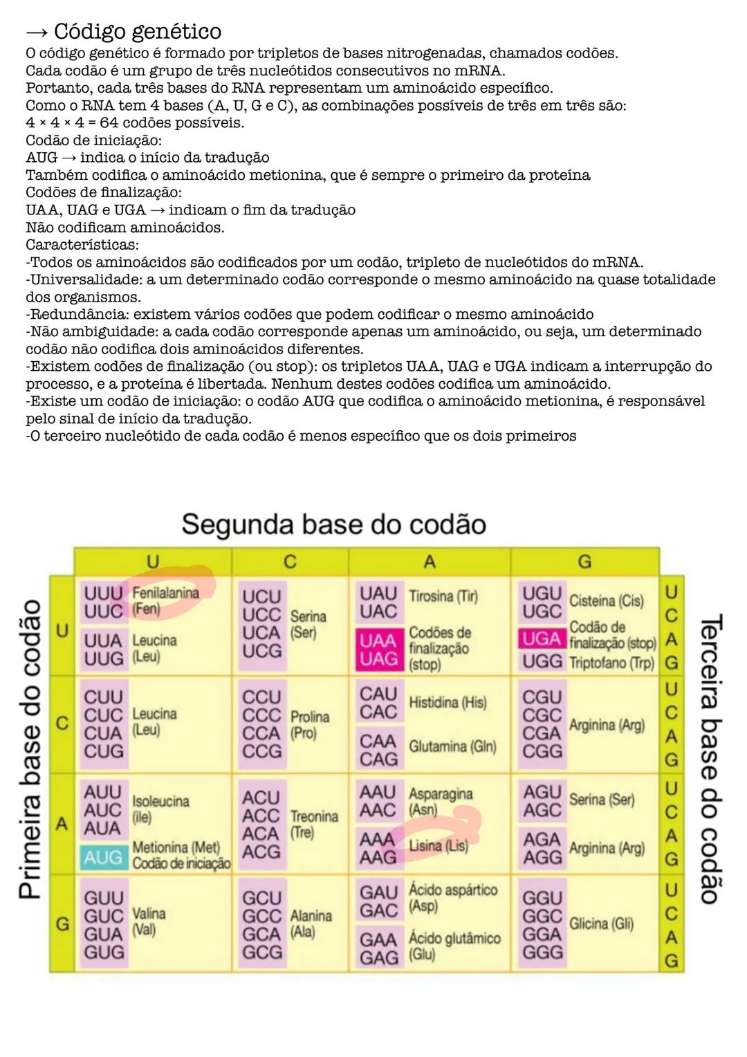 # Biologia # célula
células procarióticas célula simples, sem núcleo organizado, sem a maioria
das estruturas celulares conhecidas.
são por
