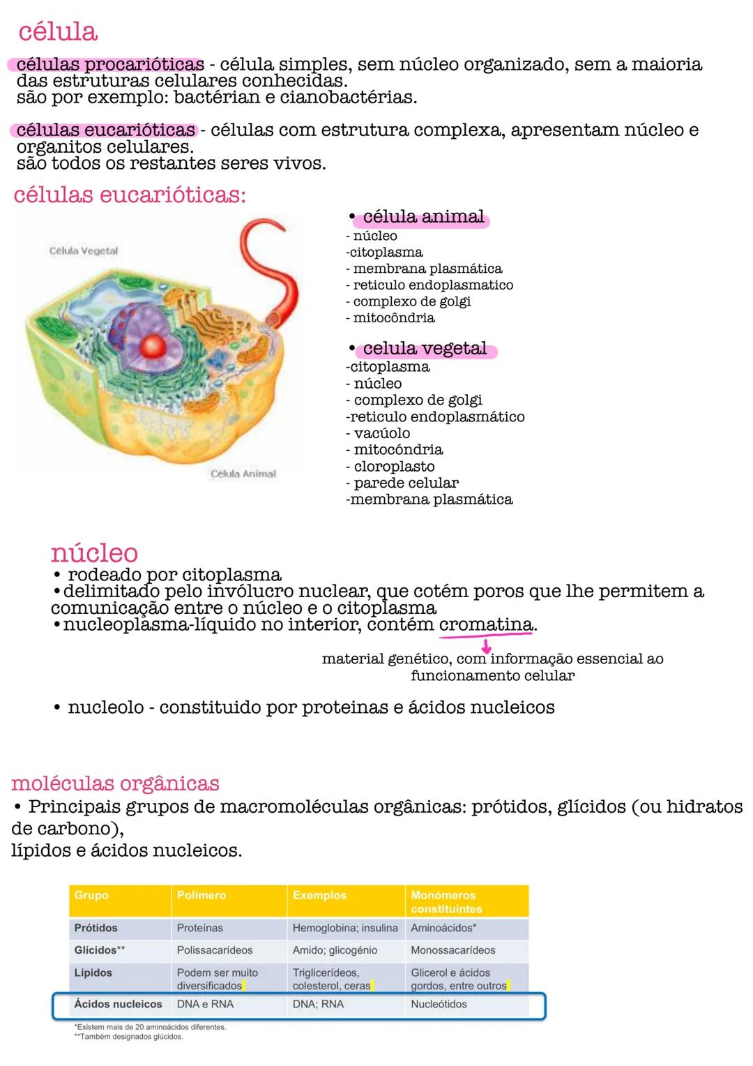 # Biologia # célula
células procarióticas célula simples, sem núcleo organizado, sem a maioria
das estruturas celulares conhecidas.
são por