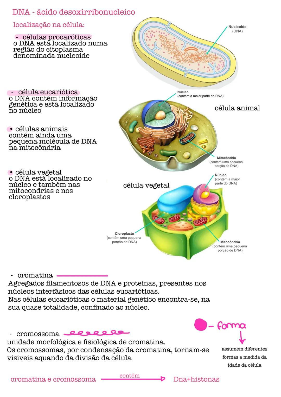 # Biologia # célula
células procarióticas célula simples, sem núcleo organizado, sem a maioria
das estruturas celulares conhecidas.
são por