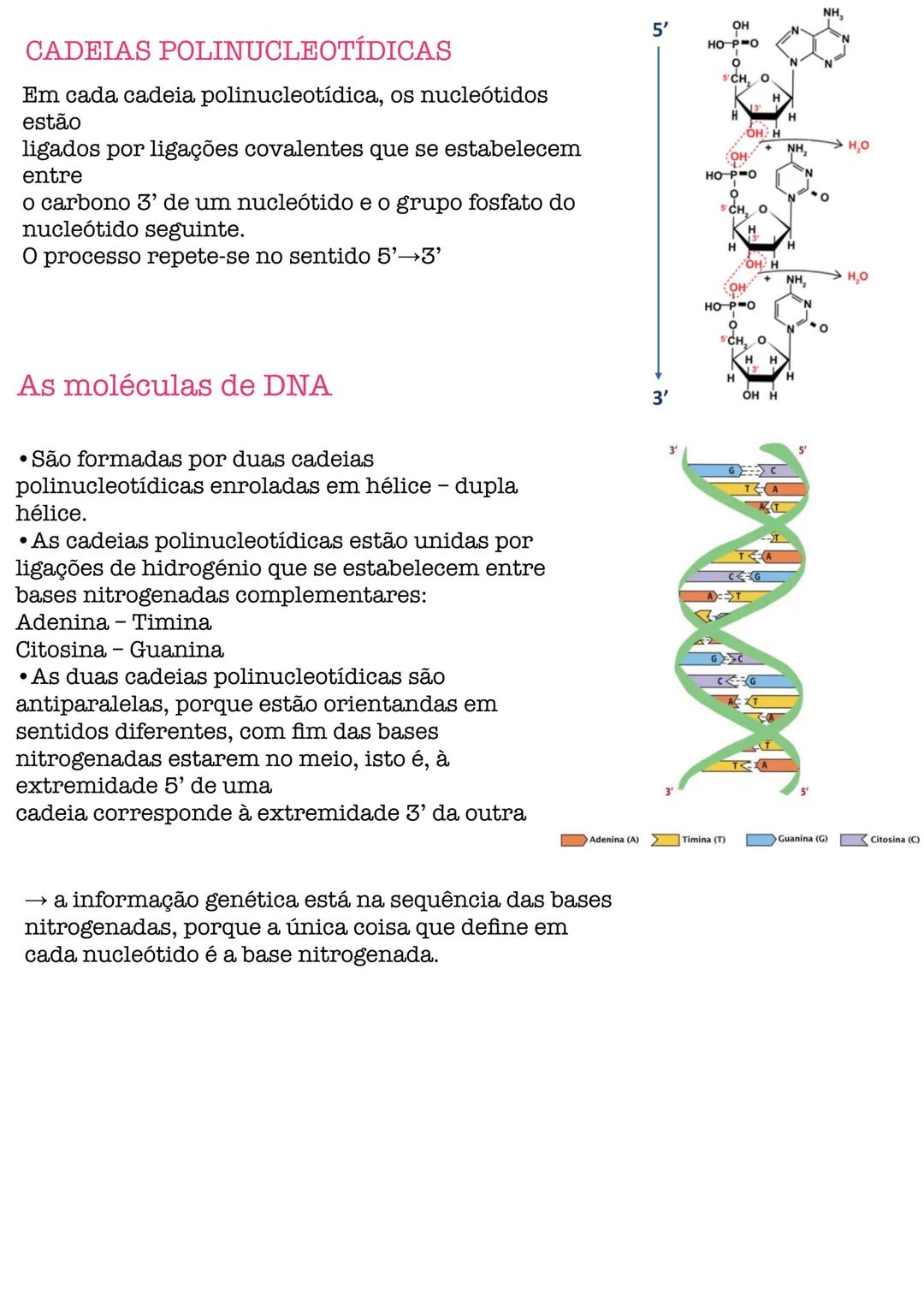 # Biologia # célula
células procarióticas célula simples, sem núcleo organizado, sem a maioria
das estruturas celulares conhecidas.
são por