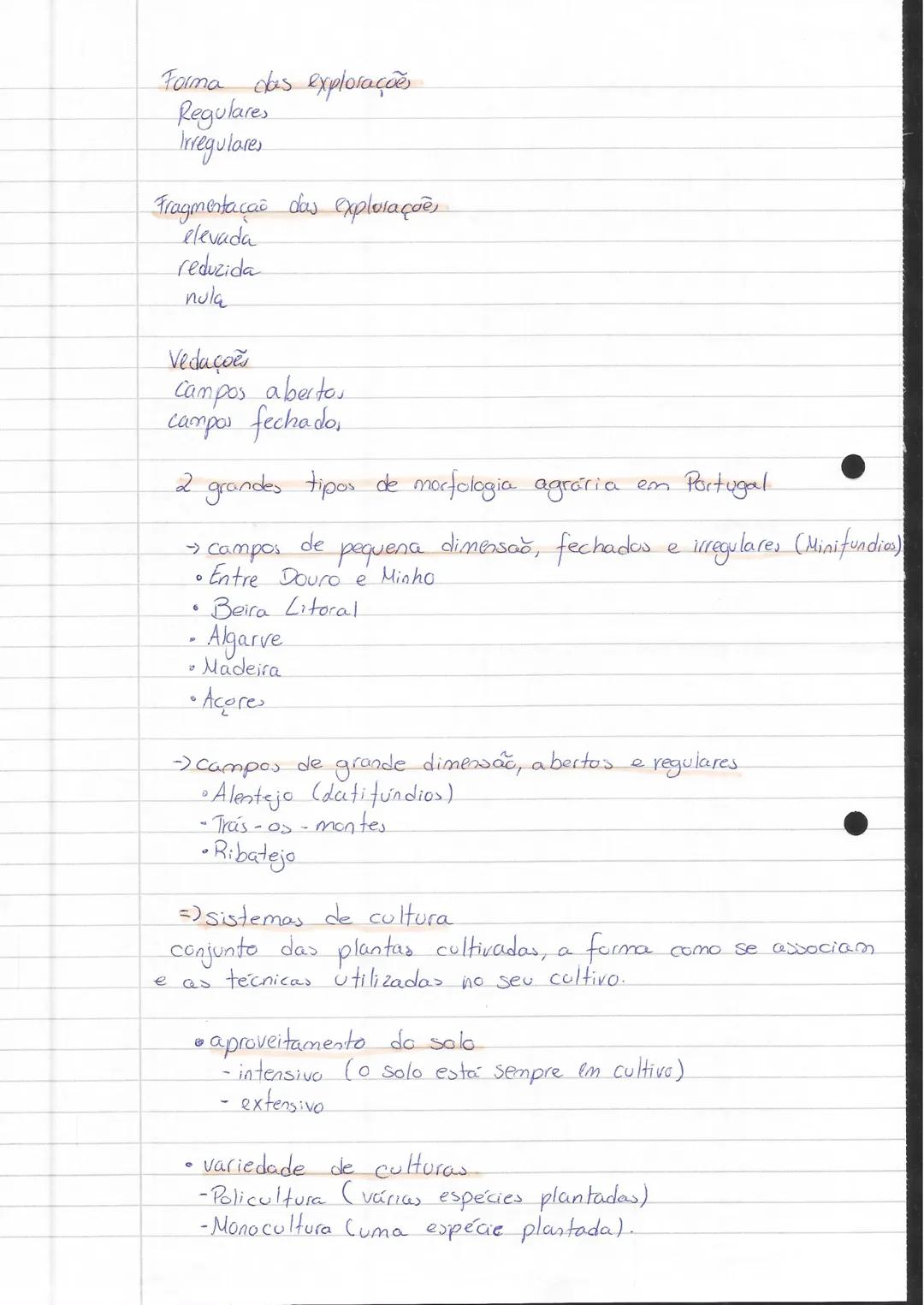 ecgrafia'
Espaço Rural
-Baixa densidade populacional.
-Mabitações de tou 2 pisos, geralmente unifamiliares
-Baixa densidade de construção