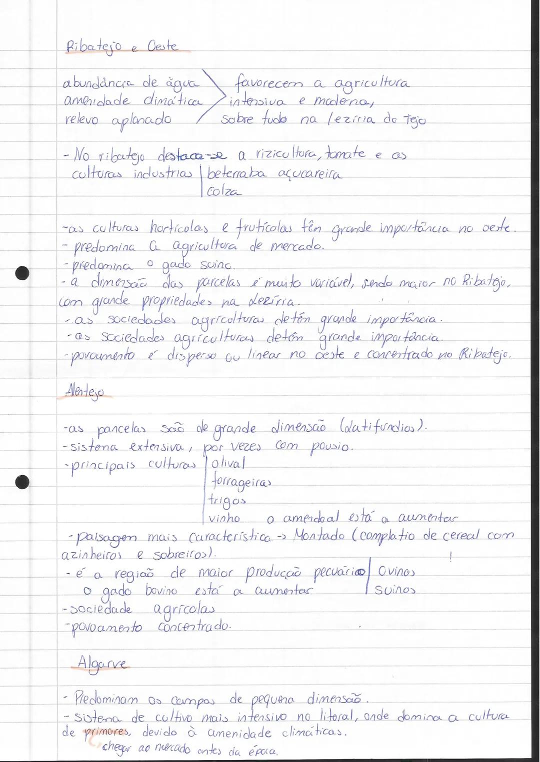 ecgrafia'
Espaço Rural
-Baixa densidade populacional.
-Mabitações de tou 2 pisos, geralmente unifamiliares
-Baixa densidade de construção