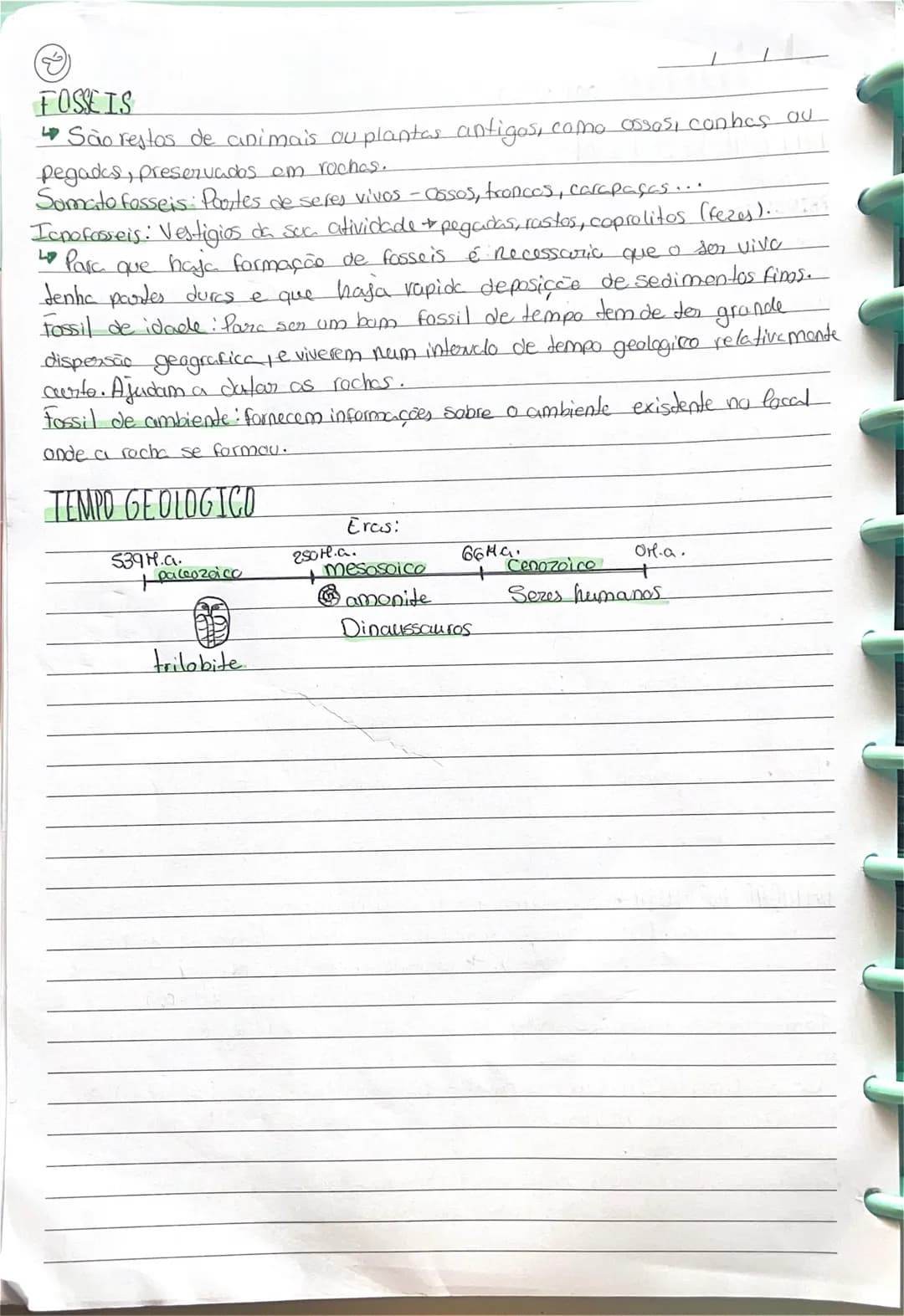 # datacaão DAS ROCHAS
17/10/25
DATAÇÃO RELATIVA Este método ajude a perceber a ordem dies aconte-
cimentos gedegicas. Não dá uma date exa