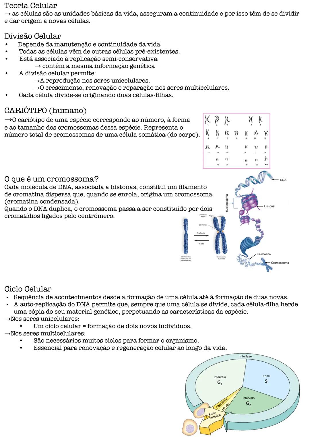 # Biologia # Teoria Celular
→ as células são as unidades básicas da vida, asseguram a continuidade e por isso têm de se dividir
e dar origem