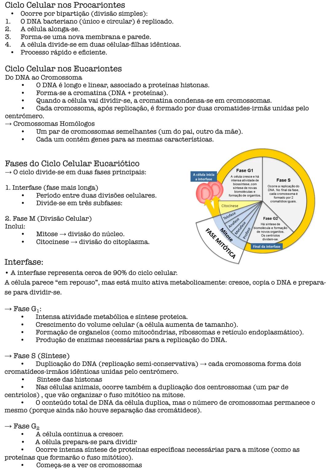 # Biologia # Teoria Celular
→ as células são as unidades básicas da vida, asseguram a continuidade e por isso têm de se dividir
e dar origem