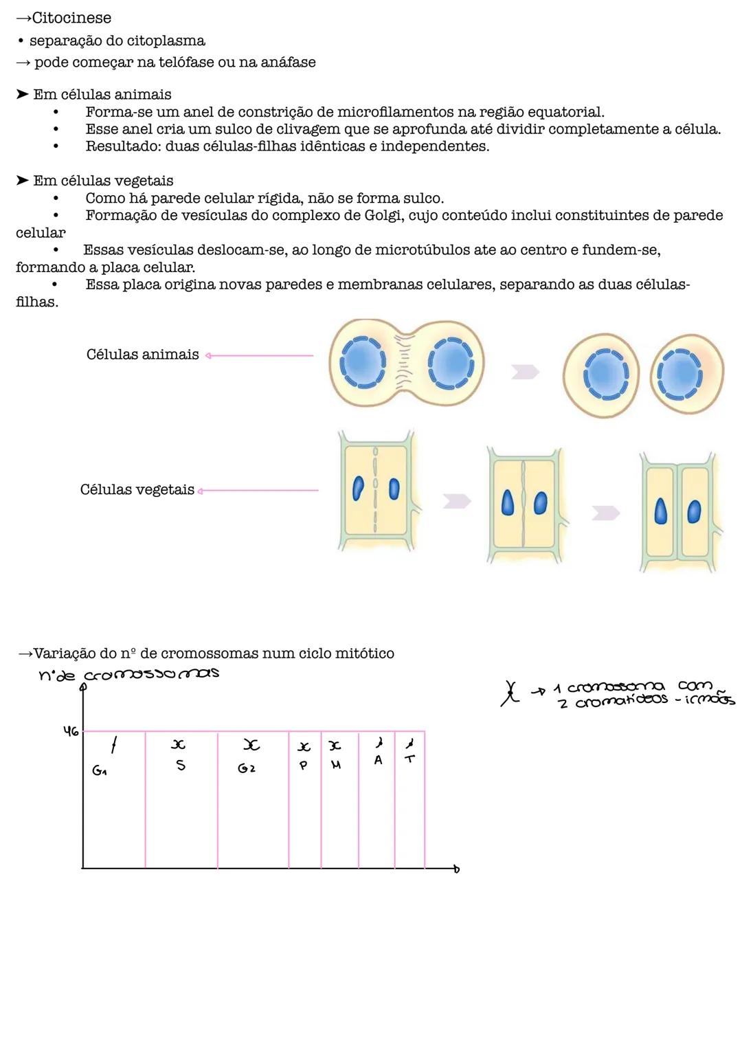 # Biologia # Teoria Celular
→ as células são as unidades básicas da vida, asseguram a continuidade e por isso têm de se dividir
e dar origem