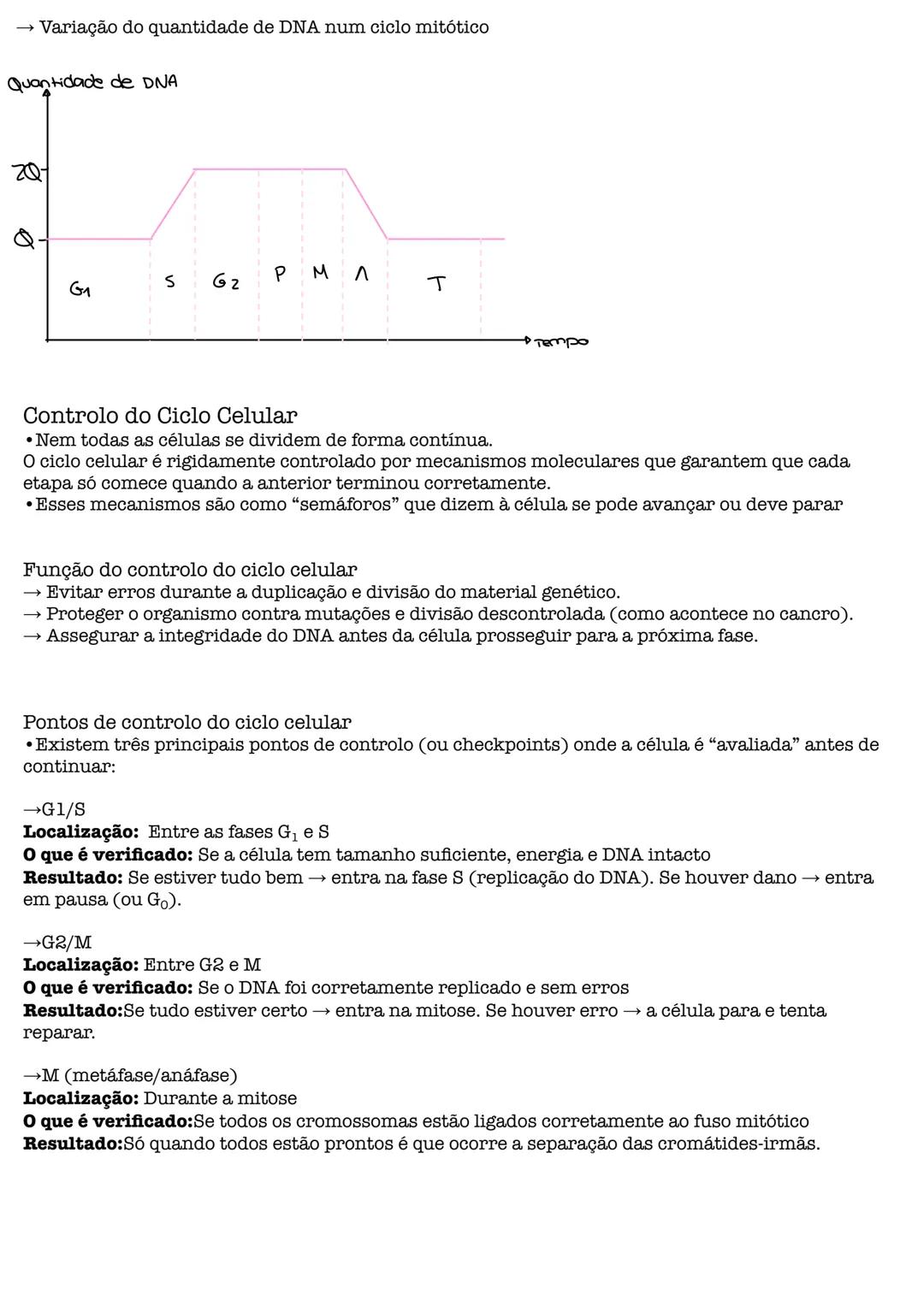 # Biologia # Teoria Celular
→ as células são as unidades básicas da vida, asseguram a continuidade e por isso têm de se dividir
e dar origem