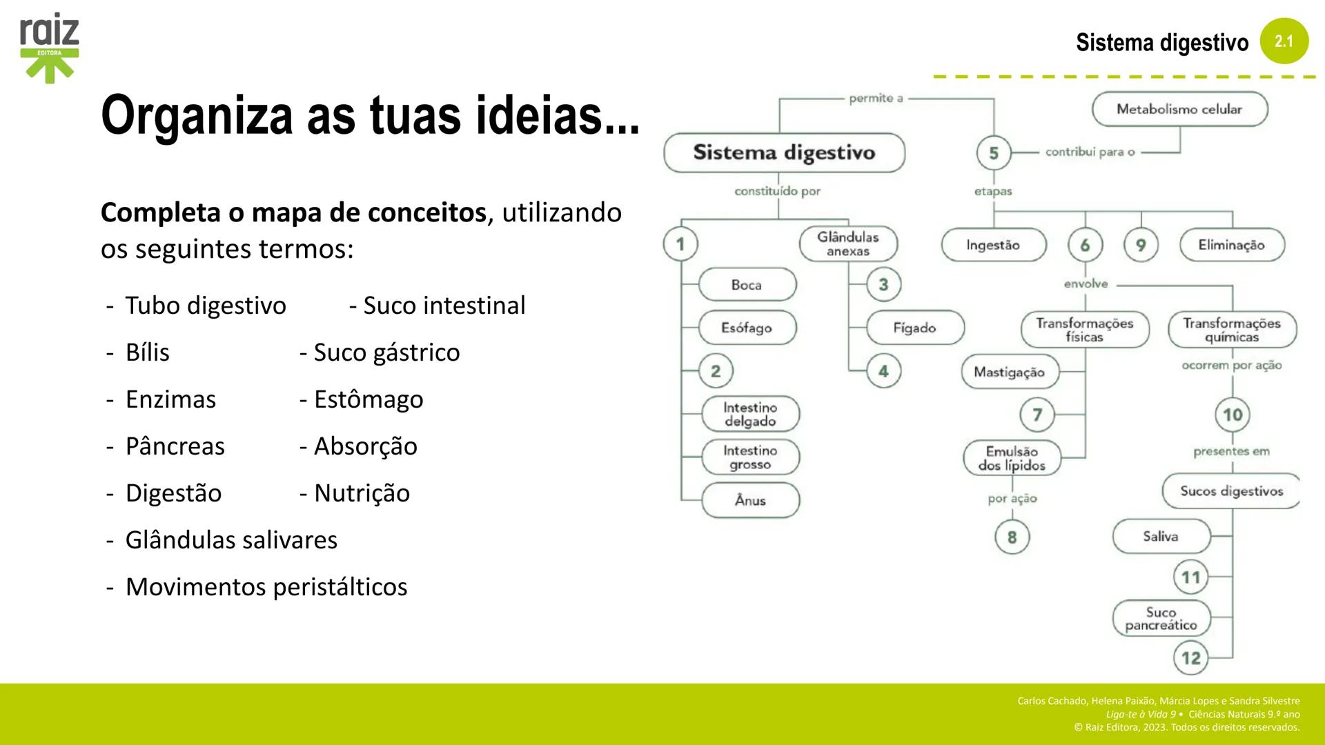 raiz
EDITORA
2. Sistemas e
manutenção da
vida
2.1 Sistema digestivo
Carlos Cachado, Helena Paixão, Márcia Lopes, Sandra Silvestre
Liga-te