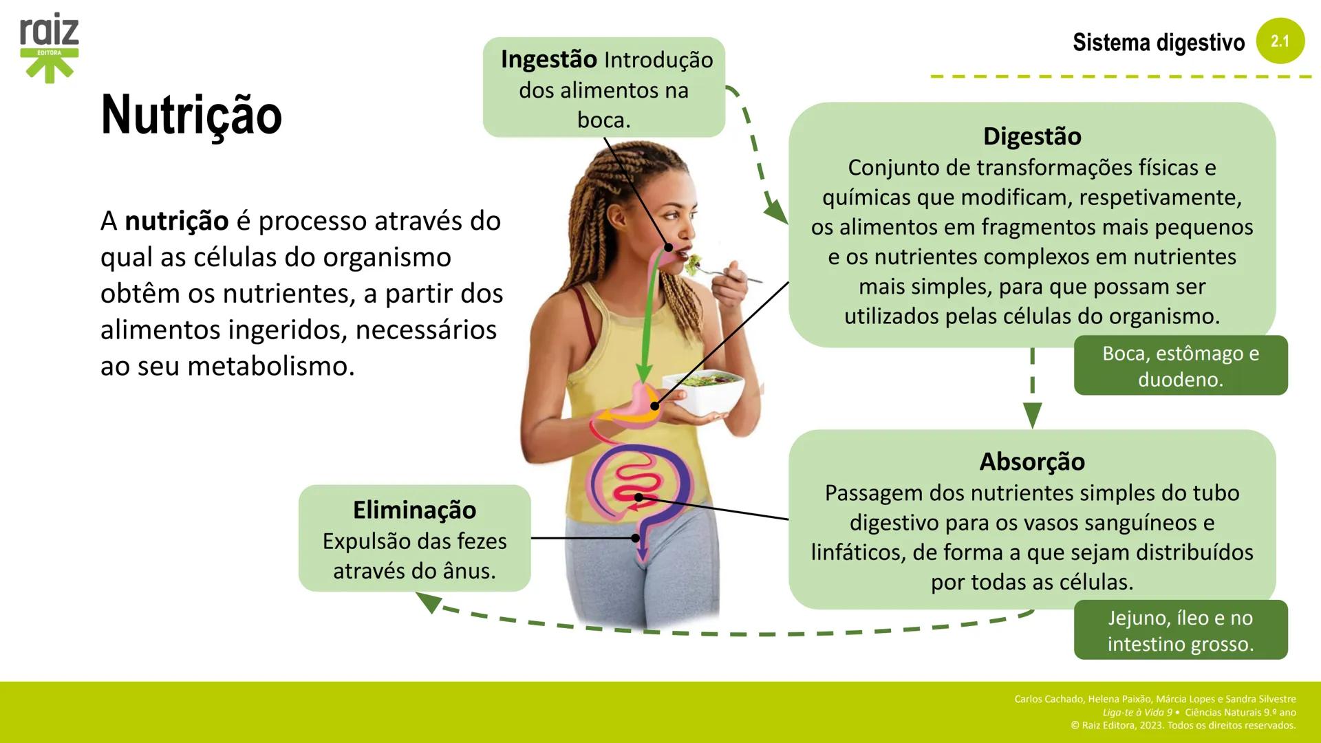raiz
EDITORA
2. Sistemas e
manutenção da
vida
2.1 Sistema digestivo
Carlos Cachado, Helena Paixão, Márcia Lopes, Sandra Silvestre
Liga-te