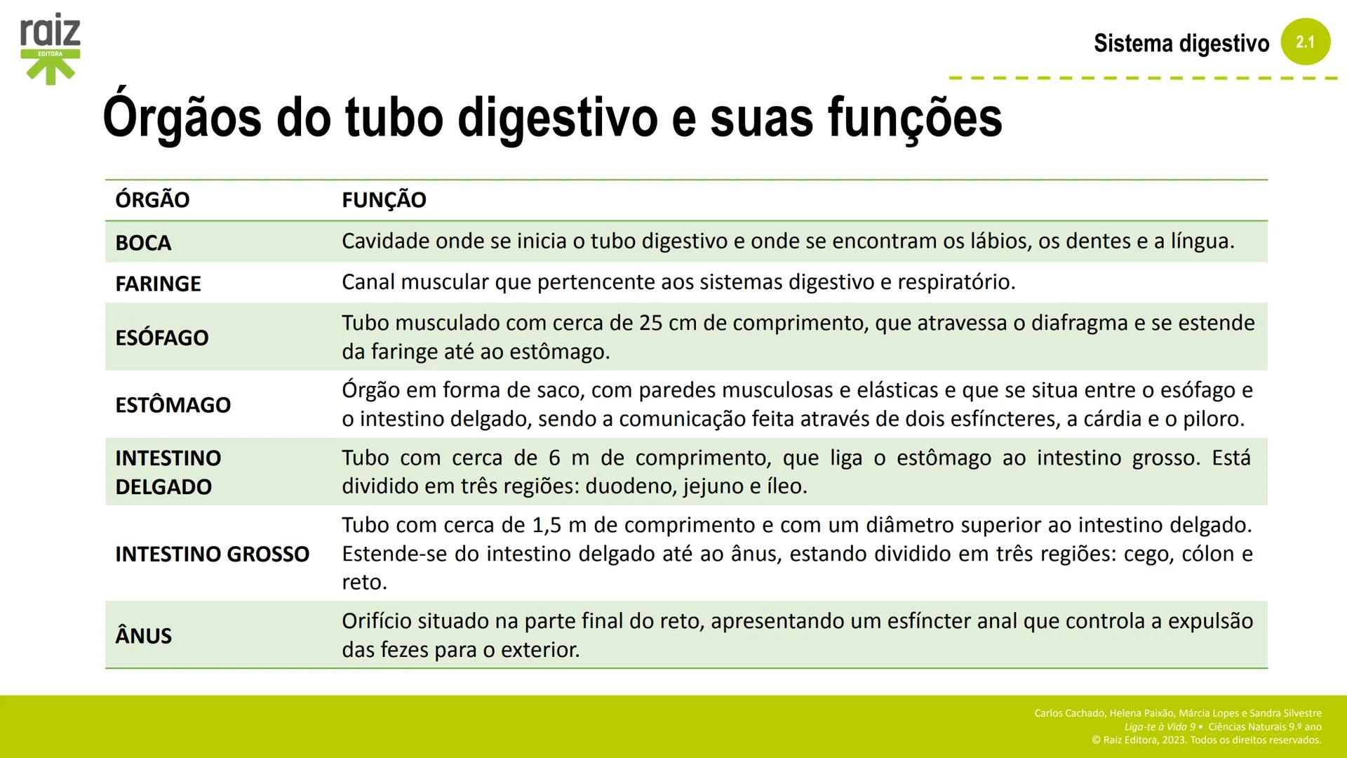 raiz
EDITORA
2. Sistemas e
manutenção da
vida
2.1 Sistema digestivo
Carlos Cachado, Helena Paixão, Márcia Lopes, Sandra Silvestre
Liga-te