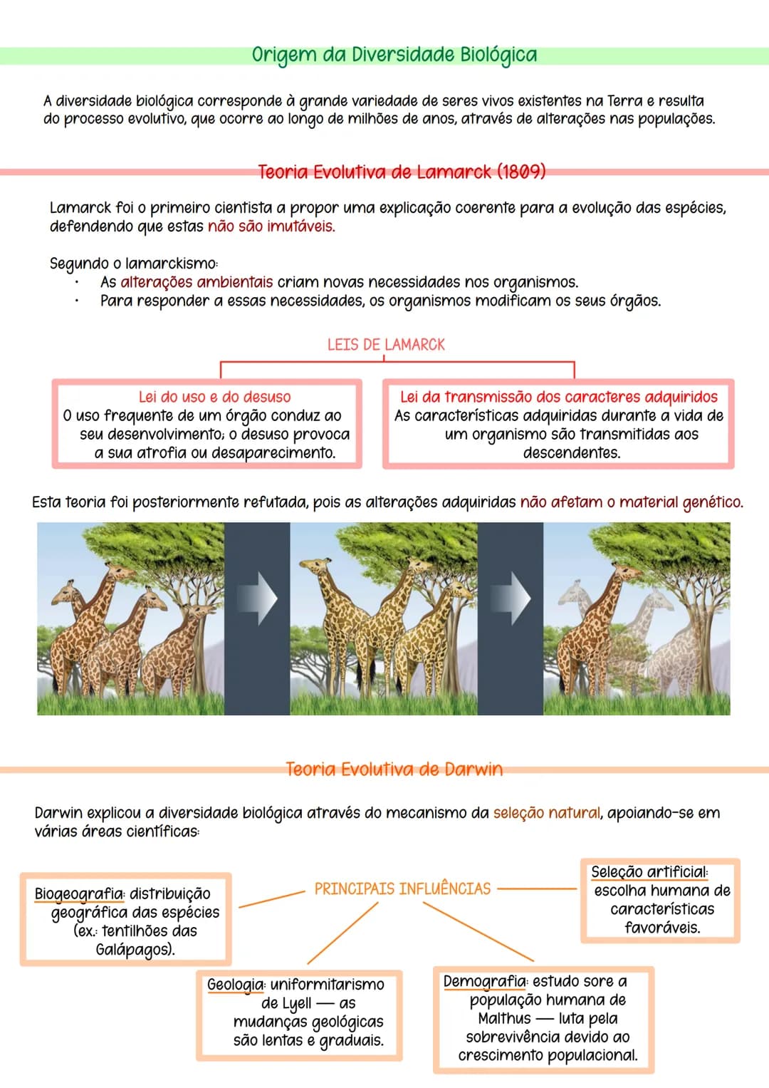 # Origem da Diversidade Biológica
A diversidade biológica corresponde à grande variedade de seres vivos existentes na Terra e resulta
do pr