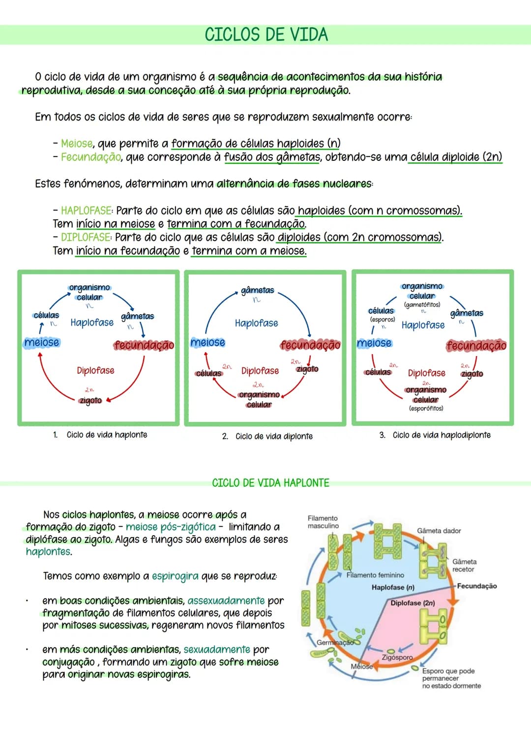 # CICLOS DE VIDA
O ciclo de vida de um organismo é a sequência de acontecimentos da sua história
reprodutiva, desde a sua conceção até à su