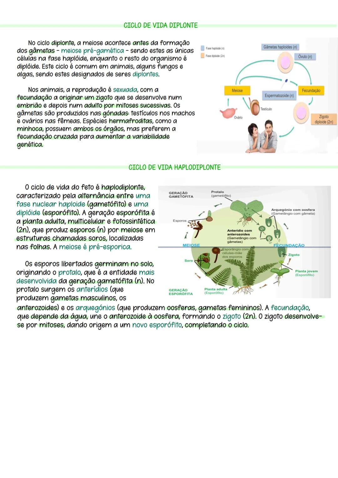 # CICLOS DE VIDA
O ciclo de vida de um organismo é a sequência de acontecimentos da sua história
reprodutiva, desde a sua conceção até à su