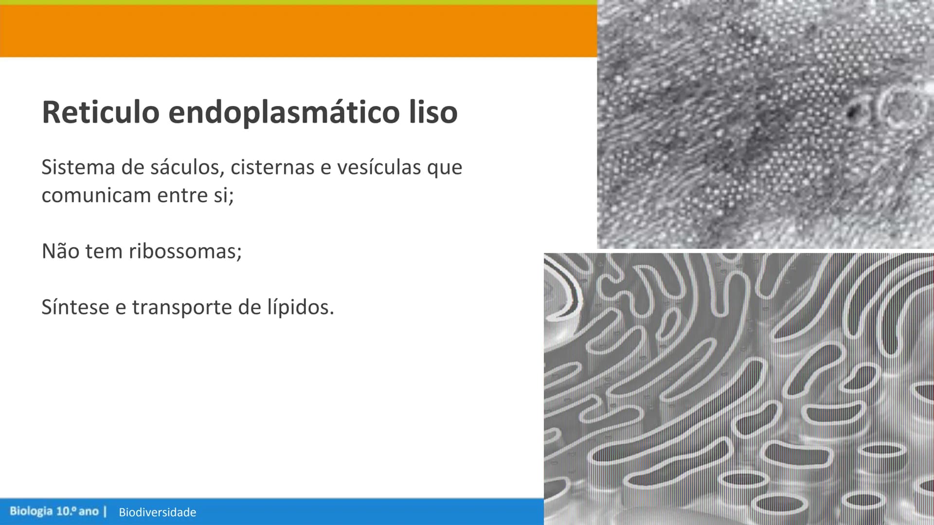 Biologia e Geologia 10.º ano Jorge Reis António Guimarães. Ana Bela Saraiva
Colaboração Óscar Oliveira
Odisseia 10
Biologia
A célula e os se