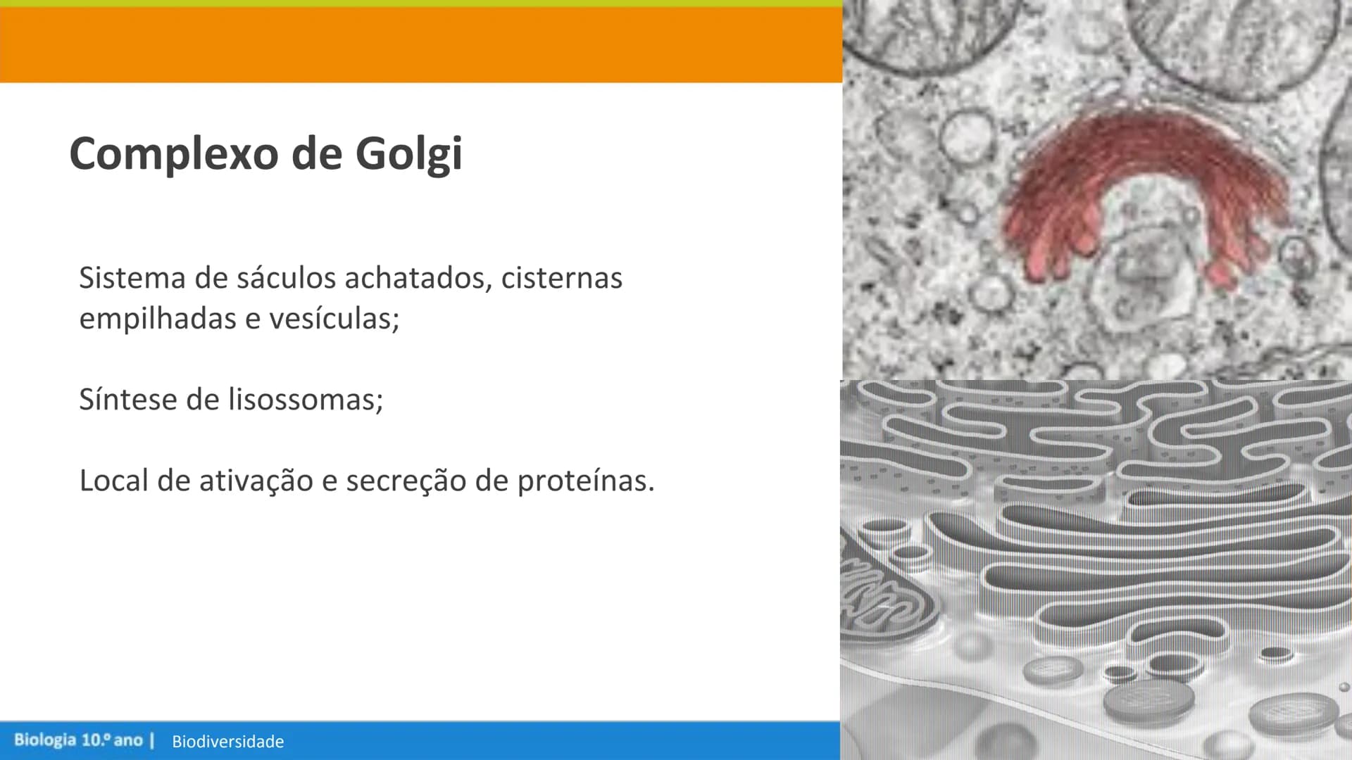 Biologia e Geologia 10.º ano Jorge Reis António Guimarães. Ana Bela Saraiva
Colaboração Óscar Oliveira
Odisseia 10
Biologia
A célula e os se