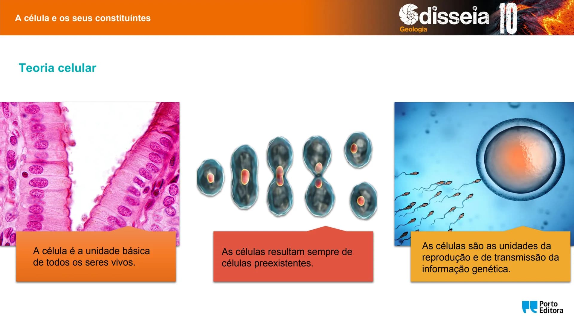 Biologia e Geologia 10.º ano Jorge Reis António Guimarães. Ana Bela Saraiva
Colaboração Óscar Oliveira
Odisseia 10
Biologia
A célula e os se