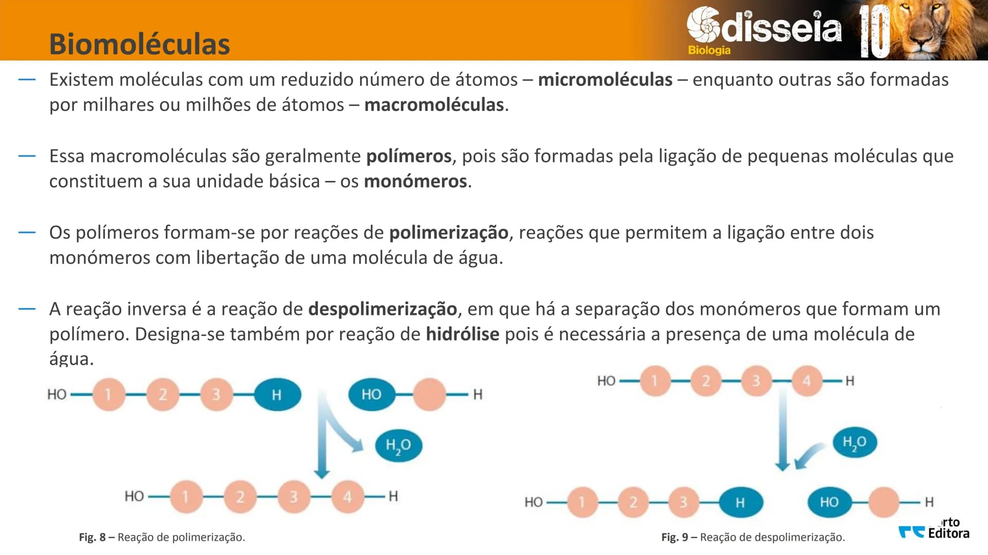 Biologia e Geologia 10.º ano Jorge Reis António Guimarães. Ana Bela Saraiva
Colaboração Óscar Oliveira
Odisseia 10
Biologia
A célula e os se
