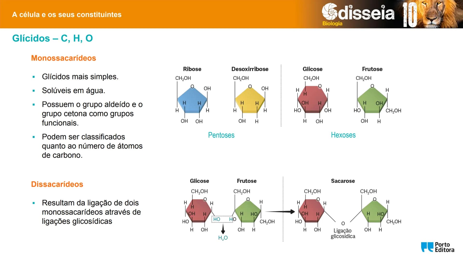 Biologia e Geologia 10.º ano Jorge Reis António Guimarães. Ana Bela Saraiva
Colaboração Óscar Oliveira
Odisseia 10
Biologia
A célula e os se