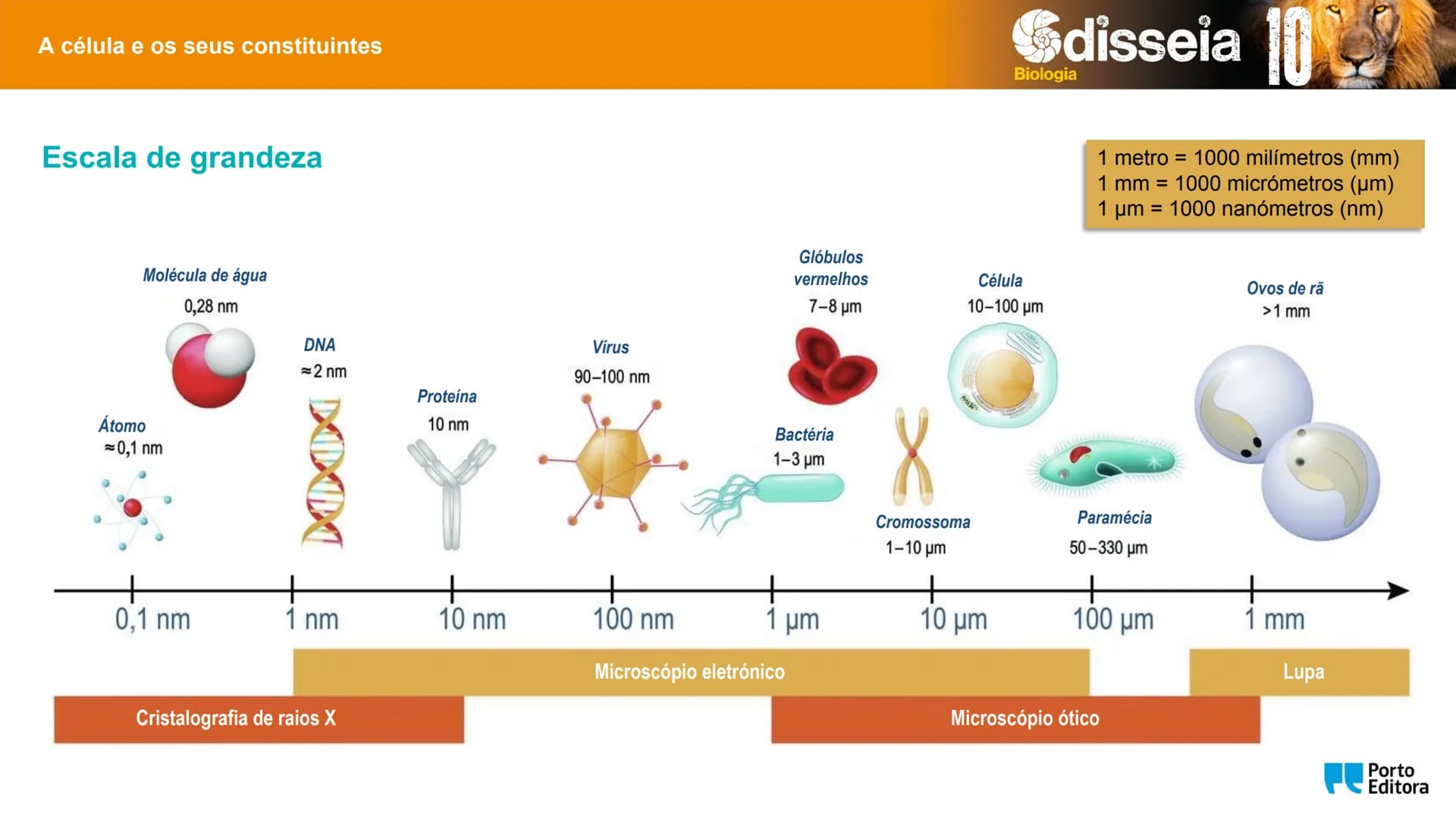 Biologia e Geologia 10.º ano Jorge Reis António Guimarães. Ana Bela Saraiva
Colaboração Óscar Oliveira
Odisseia 10
Biologia
A célula e os se