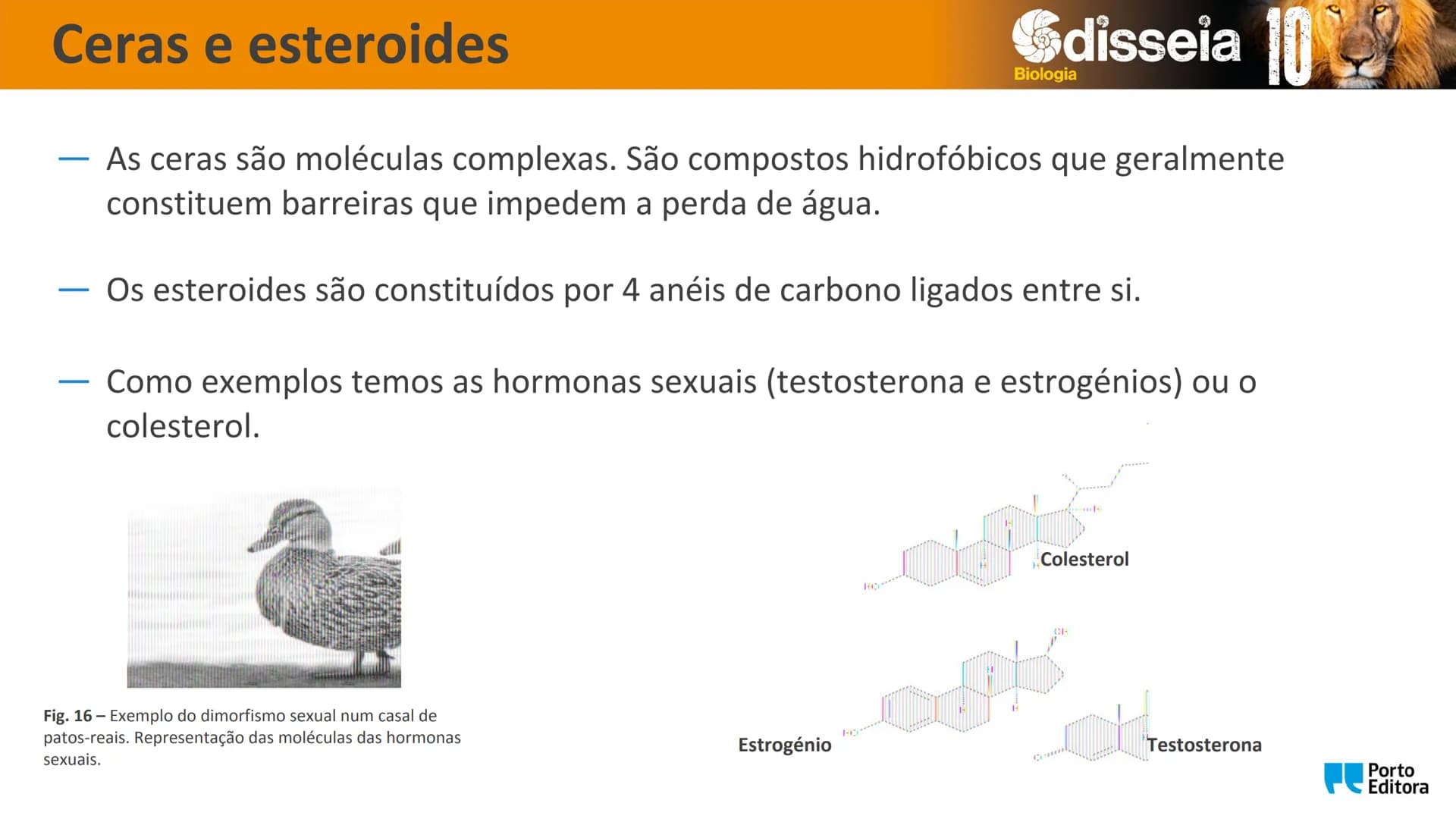 Biologia e Geologia 10.º ano Jorge Reis António Guimarães. Ana Bela Saraiva
Colaboração Óscar Oliveira
Odisseia 10
Biologia
A célula e os se