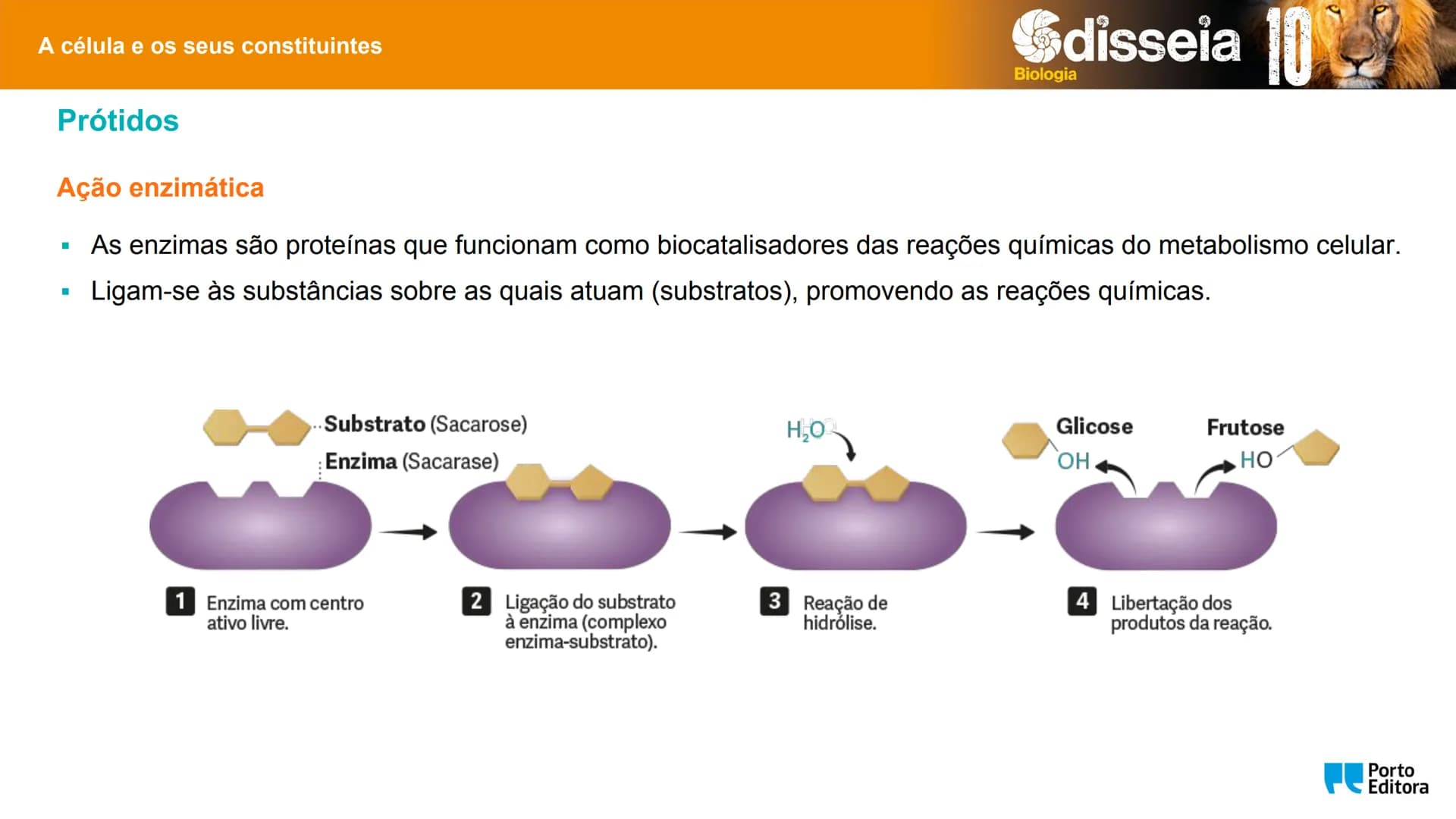 Biologia e Geologia 10.º ano Jorge Reis António Guimarães. Ana Bela Saraiva
Colaboração Óscar Oliveira
Odisseia 10
Biologia
A célula e os se