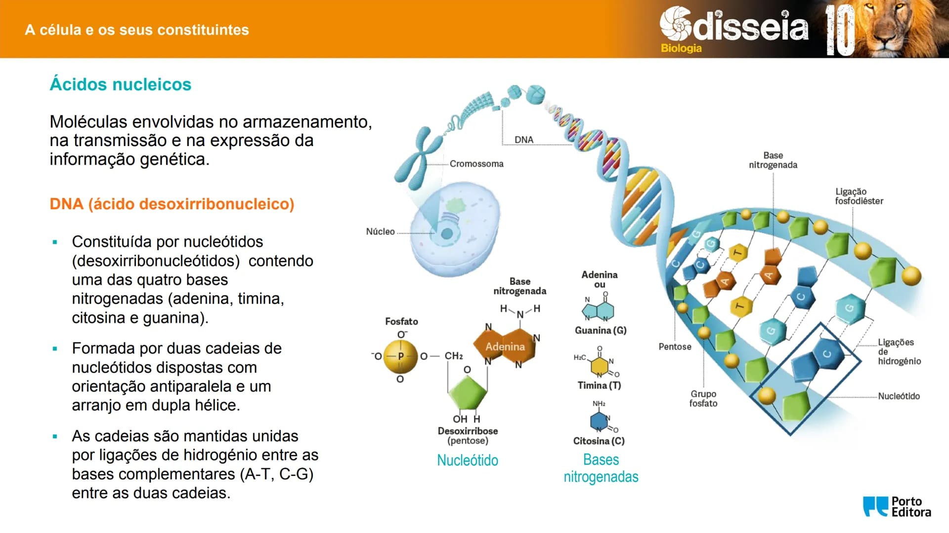 Biologia e Geologia 10.º ano Jorge Reis António Guimarães. Ana Bela Saraiva
Colaboração Óscar Oliveira
Odisseia 10
Biologia
A célula e os se