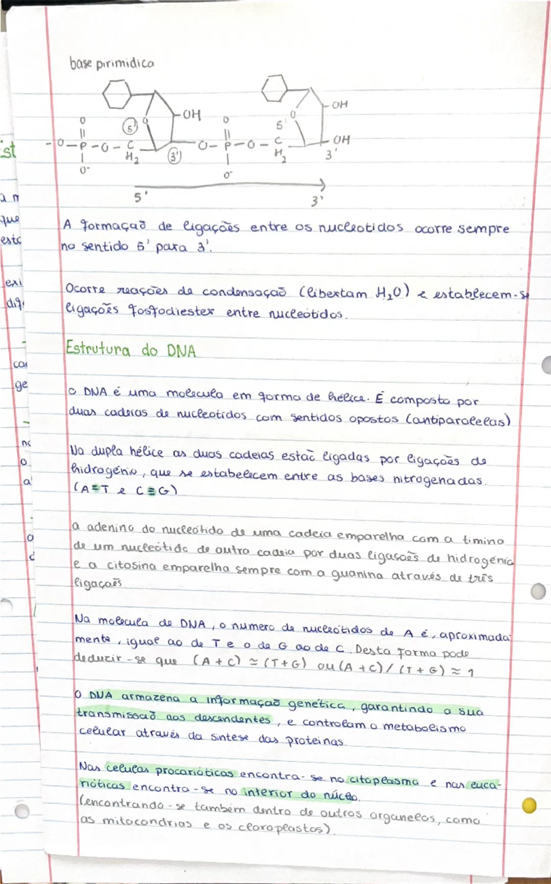 # Composição dos ácidos nucleicos
O DNA e o RNA são compostos por bases azotadas, pentoses e um grupo fosfato.
## DNA
* a pentose é a desox