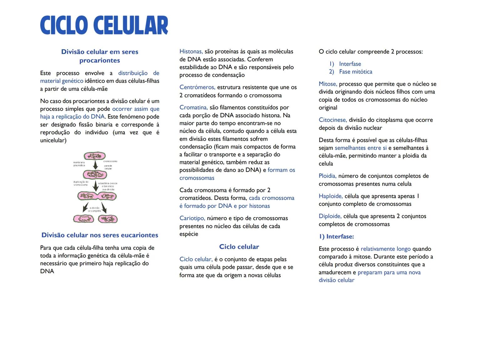 # CICLO CELULAR
# Divisão celular em seres
procariontes
Este processo envolve a distribuição de
material genético idêntico em duas células