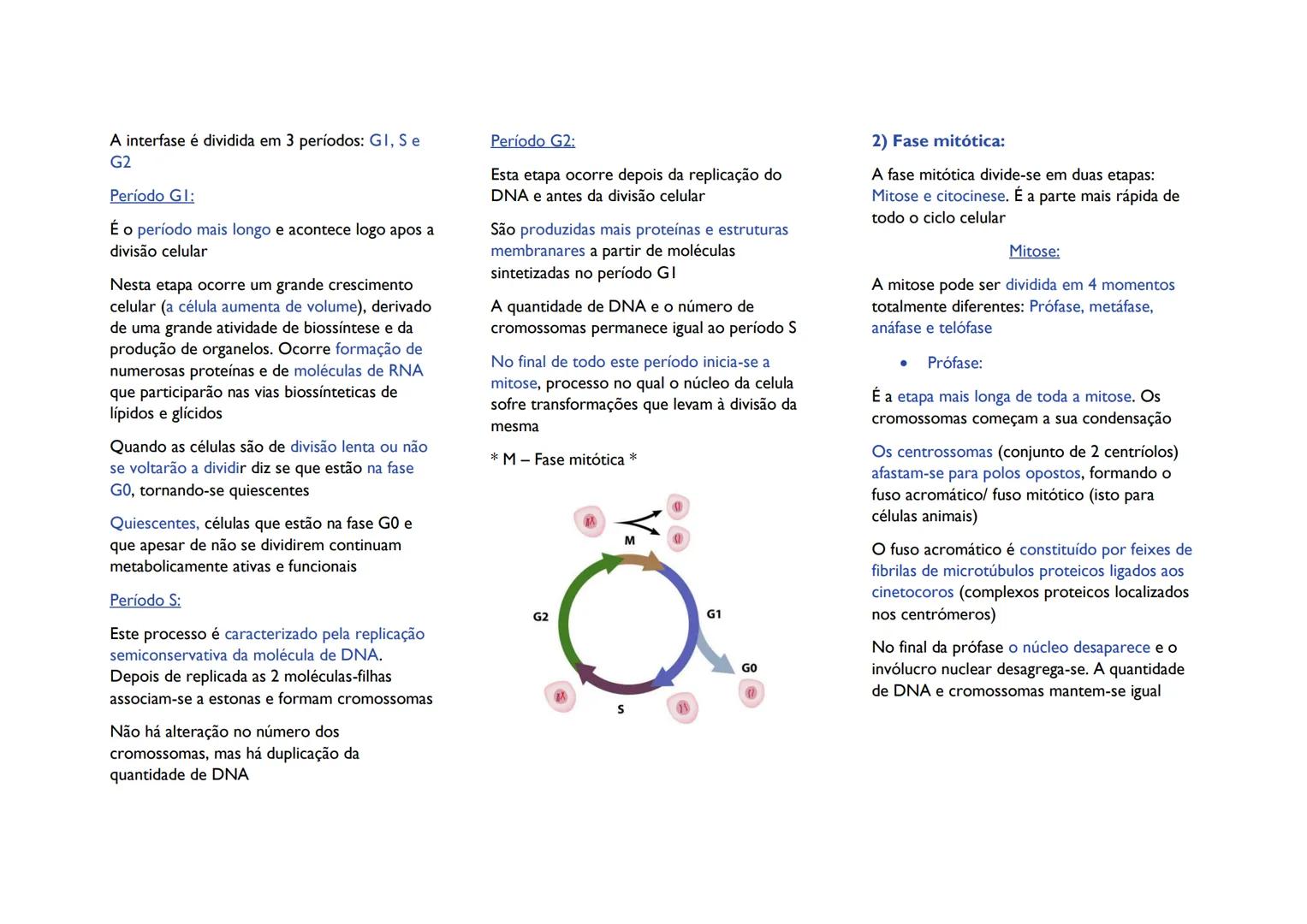 # CICLO CELULAR
# Divisão celular em seres
procariontes
Este processo envolve a distribuição de
material genético idêntico em duas células
