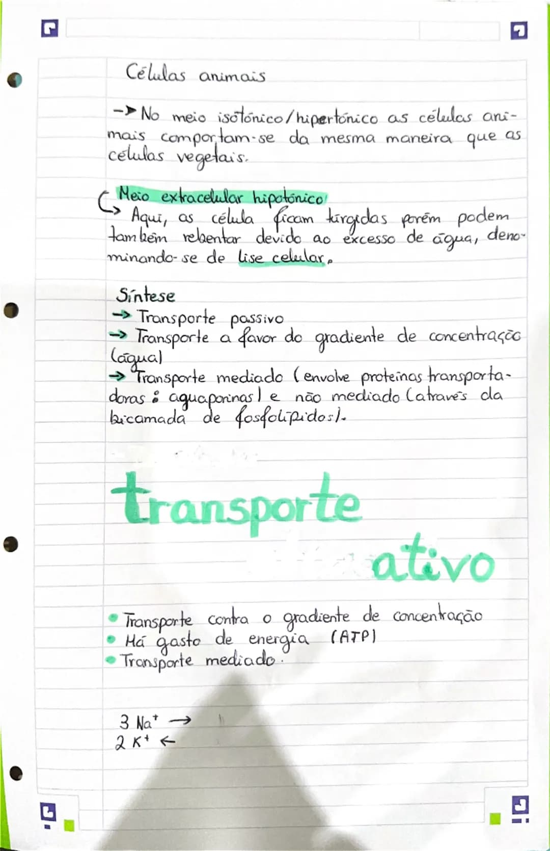 G
# Célula
## Constituintes Basicos
Moléculas orgânicas => moléculas formadas por
carbono, oxigenio e hidrogênio. (C;O; H)
* glúcidos
*