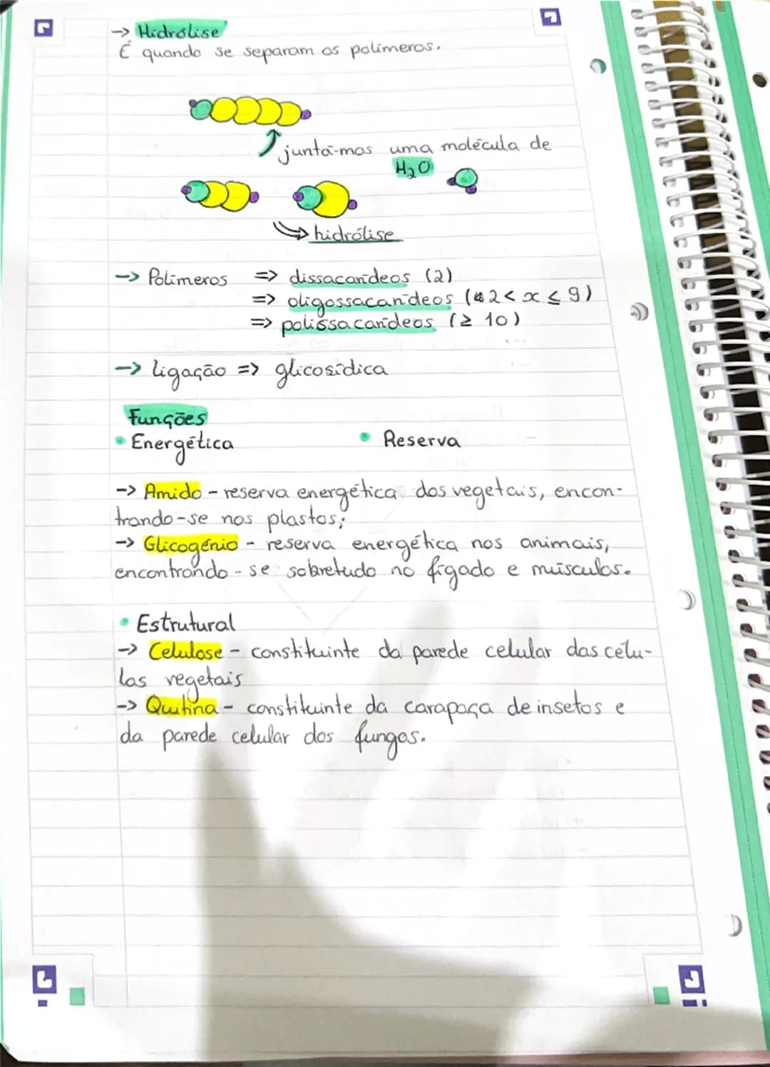 G
# Célula
## Constituintes Basicos
Moléculas orgânicas => moléculas formadas por
carbono, oxigenio e hidrogênio. (C;O; H)
* glúcidos
*