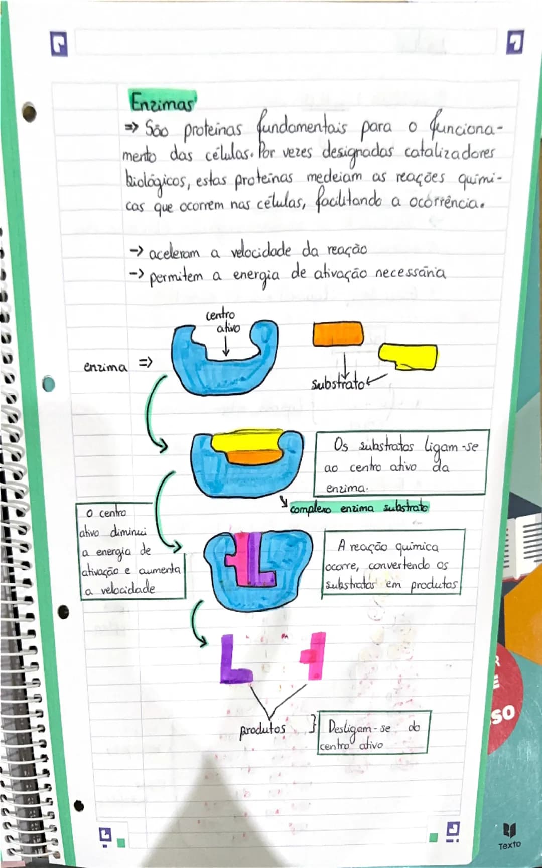 G
# Célula
## Constituintes Basicos
Moléculas orgânicas => moléculas formadas por
carbono, oxigenio e hidrogênio. (C;O; H)
* glúcidos
*