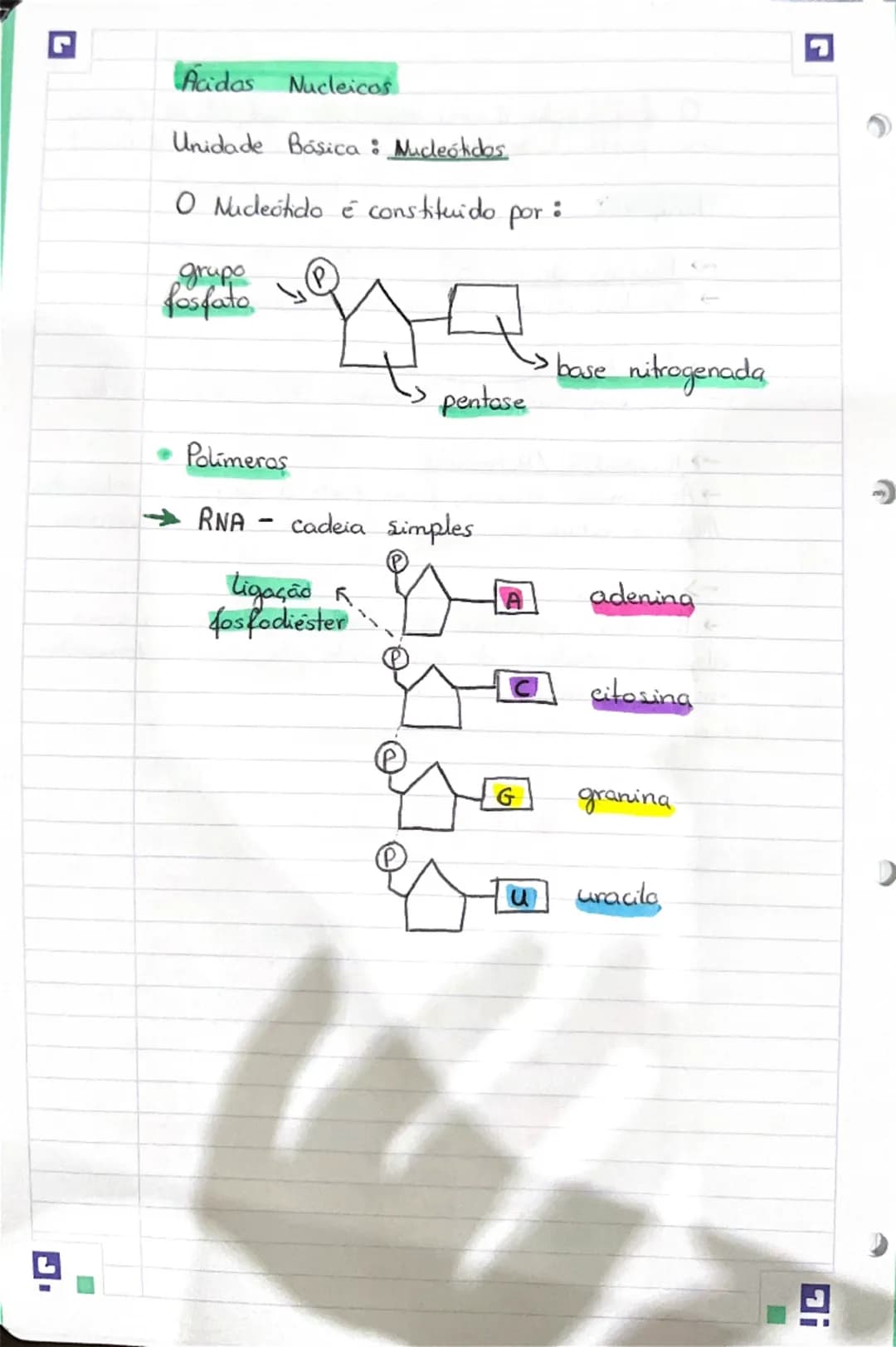 G
# Célula
## Constituintes Basicos
Moléculas orgânicas => moléculas formadas por
carbono, oxigenio e hidrogênio. (C;O; H)
* glúcidos
*