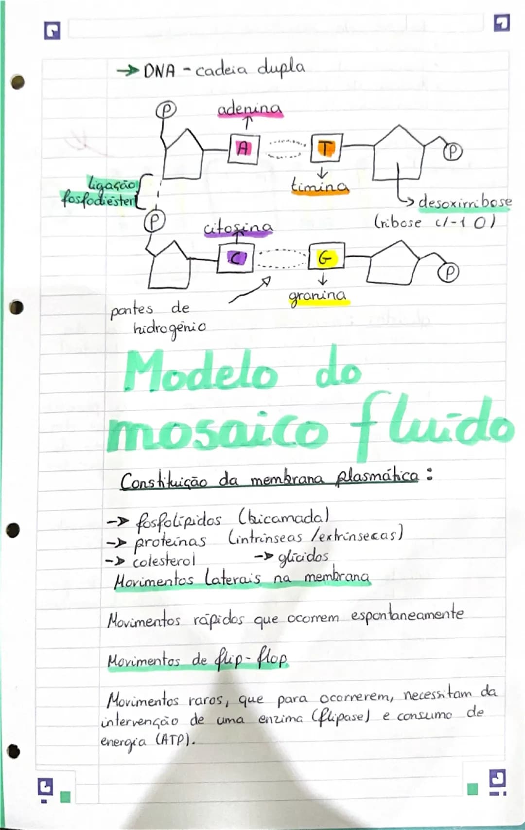G
# Célula
## Constituintes Basicos
Moléculas orgânicas => moléculas formadas por
carbono, oxigenio e hidrogênio. (C;O; H)
* glúcidos
*