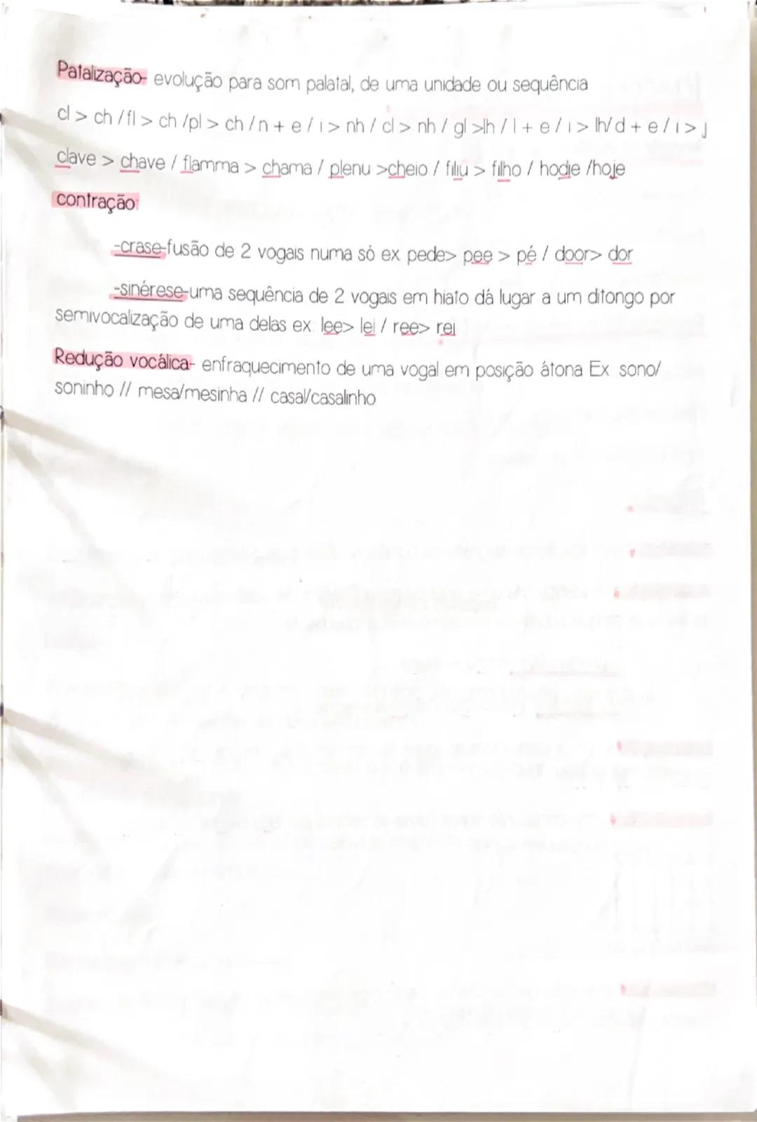 # Processos fonológicos
Inserção de unidades fónicas (+):
- Prótese (no inicio da palavra)
- Epêntese (no interior da palavra)
- Paragoge