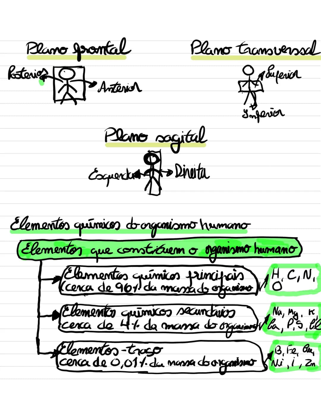 # Organização e composição
## do corpo humano
O organismo humano enquanto sistema
- Sistema aberto
- Há troca de energia
- e troca de