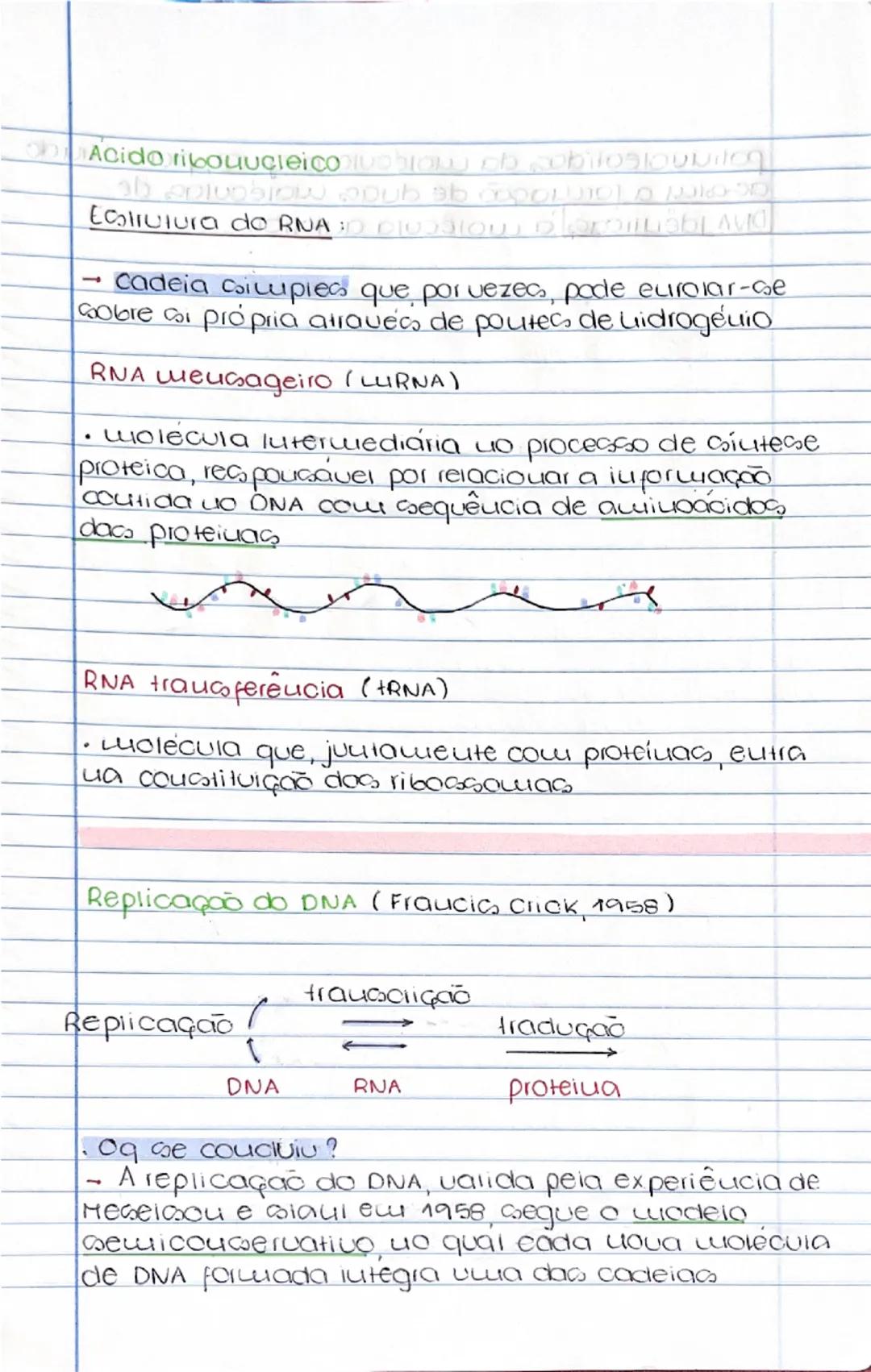 11
Ácidos uucleicos
- a fuução do DNA e aruquezar e trauquitir
a informação geuélica
- a fuução do RNA e percuitir a expressão da
uformaç