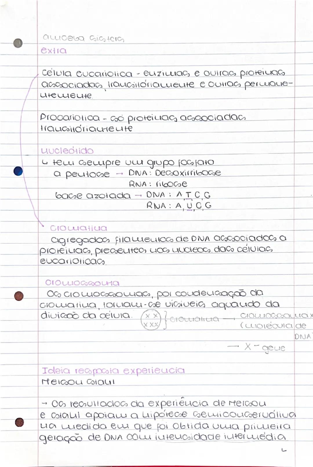 11
Ácidos uucleicos
- a fuução do DNA e aruquezar e trauquitir
a informação geuélica
- a fuução do RNA e percuitir a expressão da
uformaç