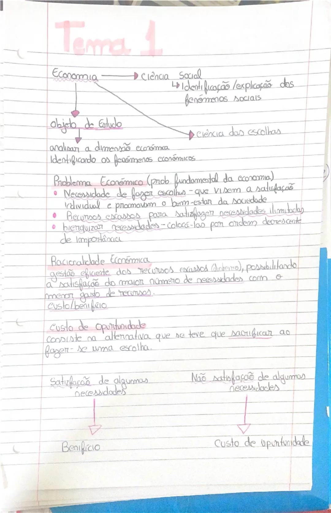 Resumos tema 1 economia 10 ano